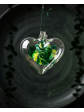 Hearts Of Intention Collection